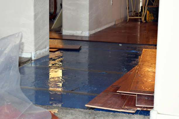 Professional Burst Pipe Cleanup technician working in Allyn, WA